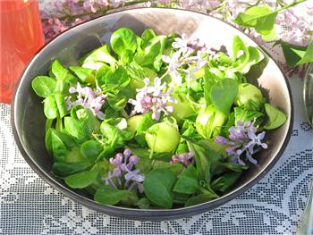 syrenklasar syrenvinäger melonkulor machésallad